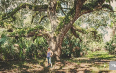 Jenna’s Journeys – How it all began