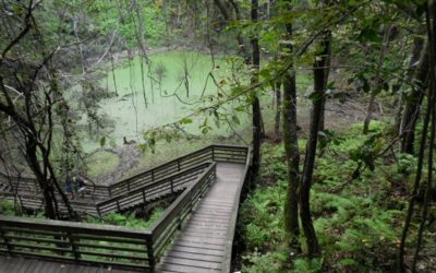 Devil’s Millhopper Geological State Park