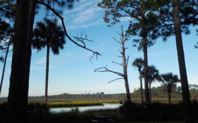 Faver-Dykes State Park