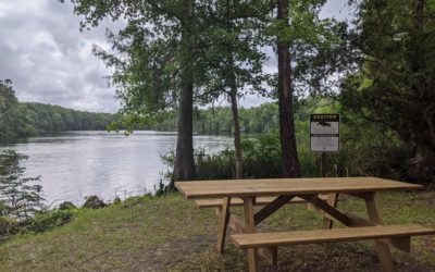 Finding Another Way to Dunns Creek