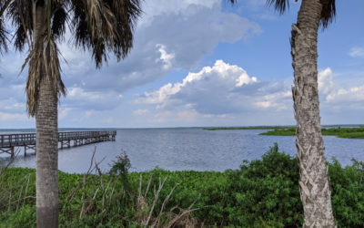 Paynes Prairie Observation Dock Revisited