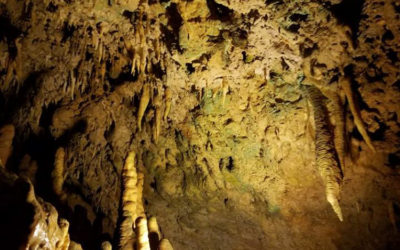 #137 Florida Caverns
