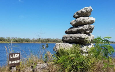 #125 – 128 Fakahatchee Strand Preserve, Collier-Seminole, Delnor-Wiggins Pass & Lover’s Key