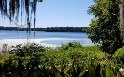 Alfred B Maclay Gardens State Park