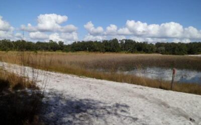 Allen David Broussard Catfish Creek Preserve State Park