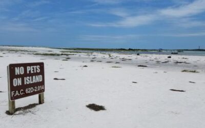 Anclote Key Preserve State Park