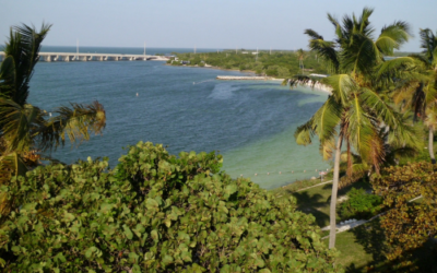 Bahia Honda State Park