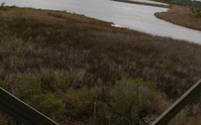 Big Lagoon State Park