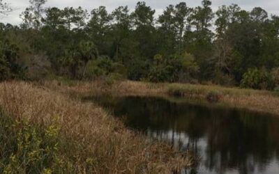 Cedar Key Scrub State Reserve