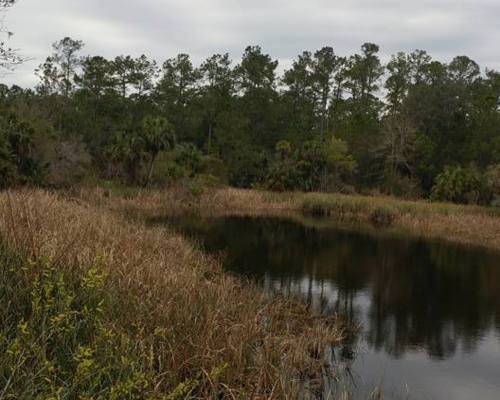 Cedar Key Scrub State Reserve