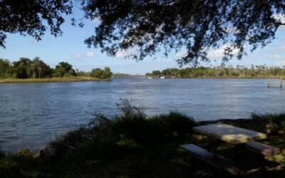 Crystal River Preserve State Park