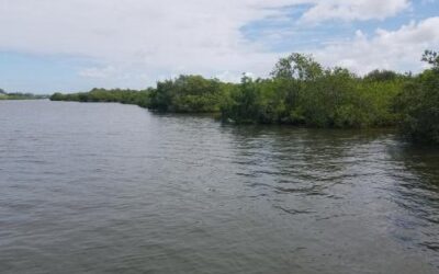 Don Pedro Island State Park