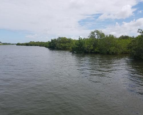 Don Pedro Island State Park