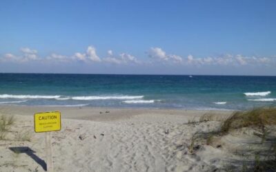 Dr. Von D. Mizell-Eula Johnson State Park