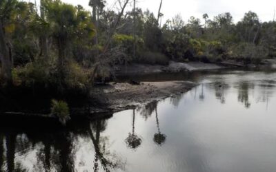 Econfina River State Park