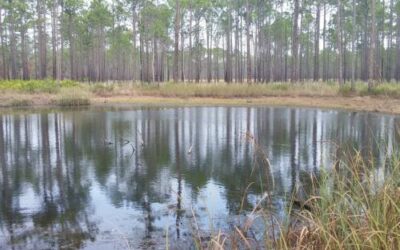 Fred Gannon Rocky Bayou State Park