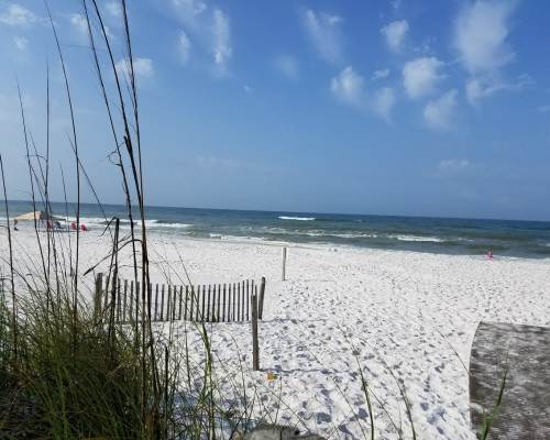 Grayton Beach State Park