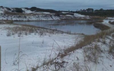 Henderson Beach State Park