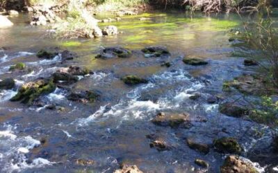 Hillsborough River State Park