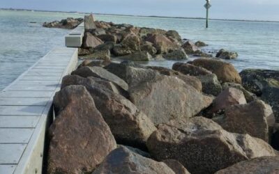 Honeymoon Island State Park