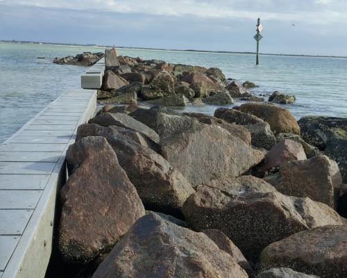 Honeymoon Island State Park