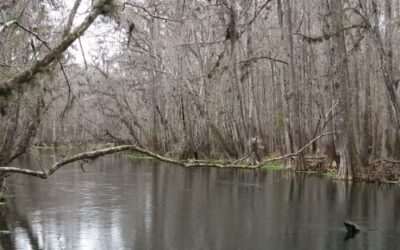 Ichetucknee Springs State Park