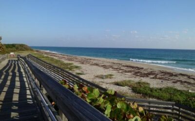 John D. MacArthur Beach State Park