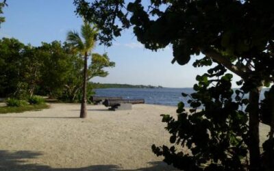 John Pennekamp Coral Reef State Park