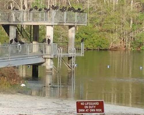 Edward Ball Wakulla Springs State Park