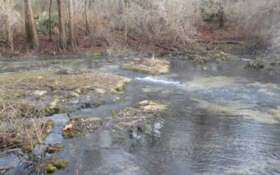 Lafayette Blue Springs