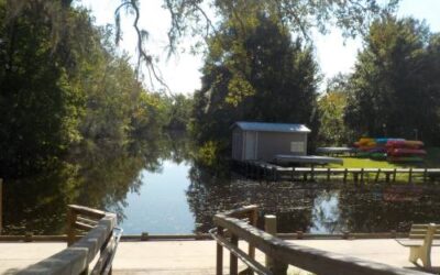 Lake Griffin State Park