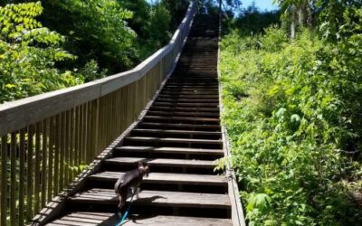 Lake Jackson Mounds Archaeological State Park