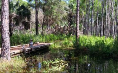 Lake Kissimmee State Park