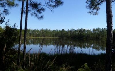 Little Manatee River State Park