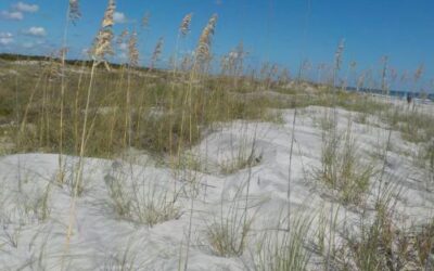 Little Talbot Island State Park