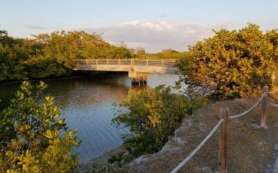 Lovers Key State Park