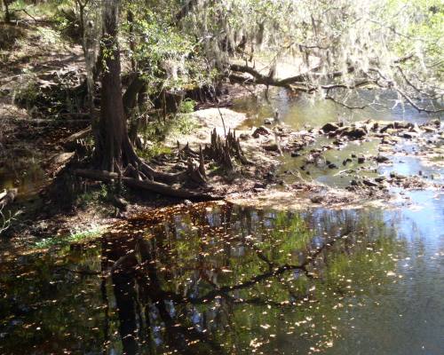 O’Leno State Park