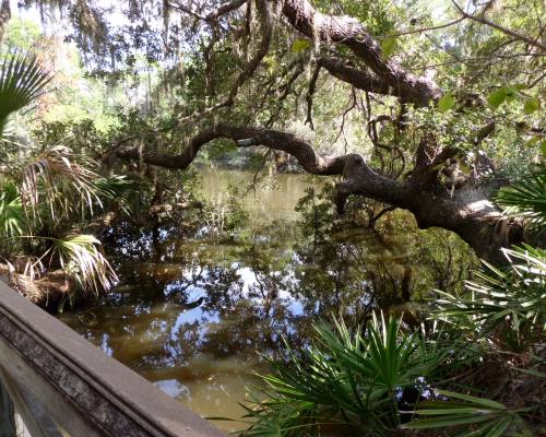 Oscar Scherer State Park