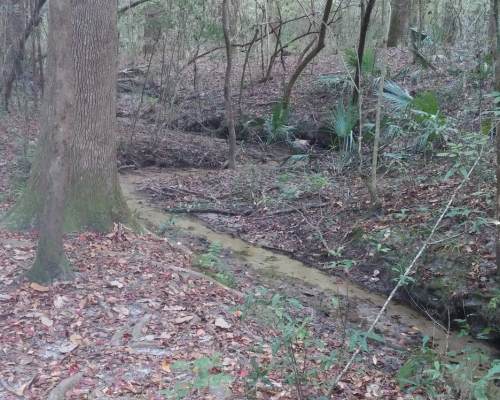 San Felasco Hammock Preserve State Park