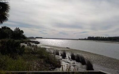 San Marcos de Apalache Historic State Park