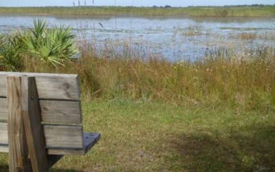 Savannas Preserve State Park