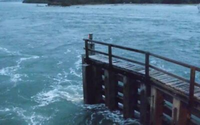 Sebastian Inlet State Park