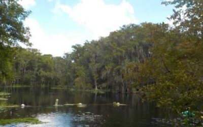 Silver Springs State Park