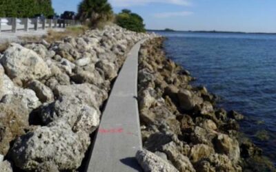 Skyway Fishing Pier State Park
