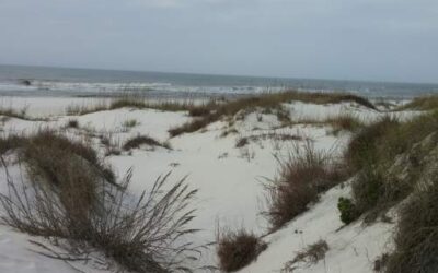 St. Joseph Peninsula State Park