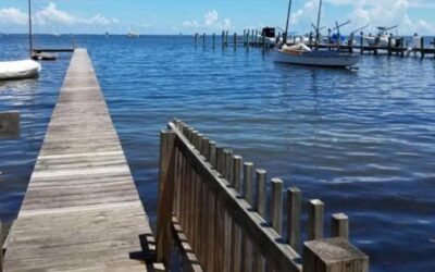 The Barnacle Historic State Park