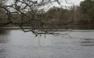 Troy Springs State Park