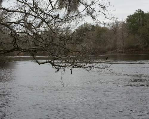 Troy Springs State Park