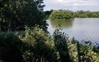Waccasassa Bay Preserve State Park