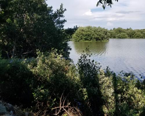 Waccasassa Bay Preserve State Park